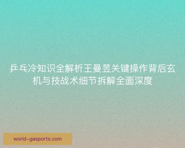 乒乓冷知识全解析王曼昱关键操作背后玄机与技战术细节拆解全面深度